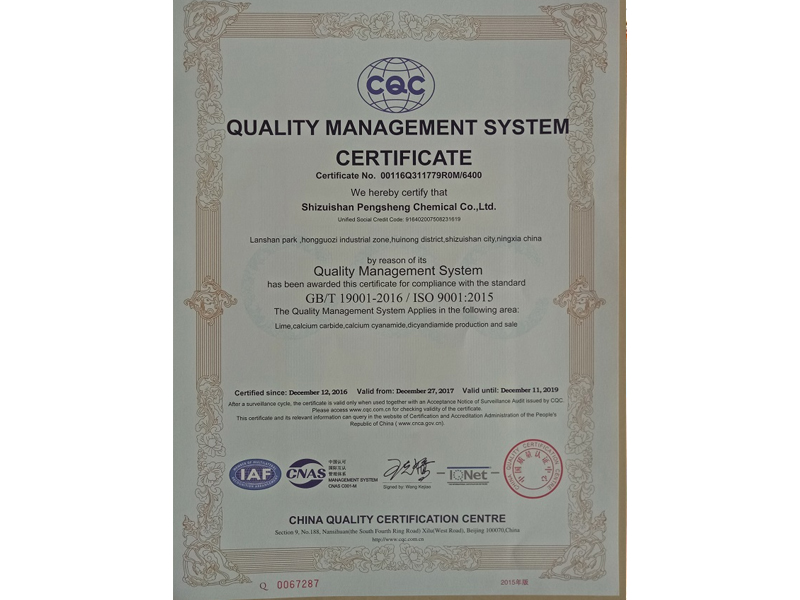 Quality Management System Certificate (English version)